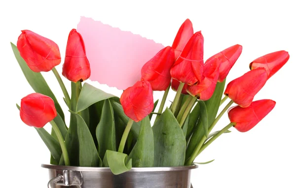 Vödör elszigetelt fehér tulipánok — Stock Fotó