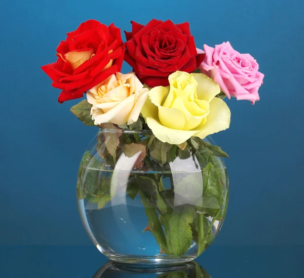 Beautiful roses in glass vase on blue background — Stock Photo, Image