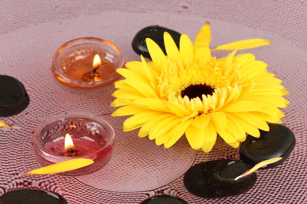 Pietre termali con fiore e candele in acqua sul piatto — Foto Stock