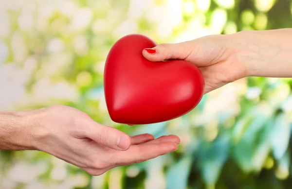 Red heart in woman and man hands, on green background — Stock Photo, Image