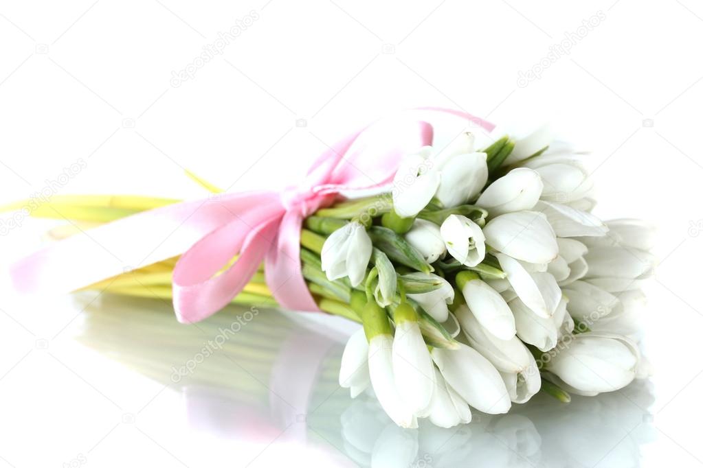 beautiful bouquet of snowdrops isolated on white