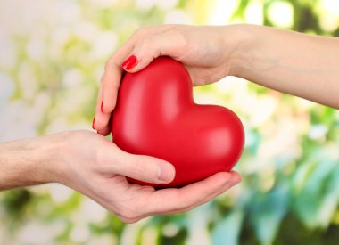 kadın ve adam ellerini, yeşil zemin üzerine kırmızı kalp