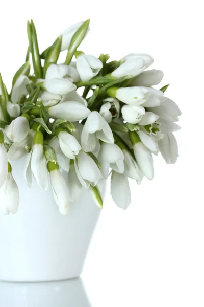 Beautiful bouquet of snowdrops in vase isolated on white — Stock Photo, Image