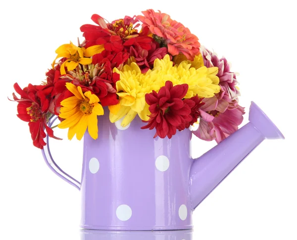 Bouquet of beautiful summer flowers in watering can, isolated on white — Stock Photo, Image