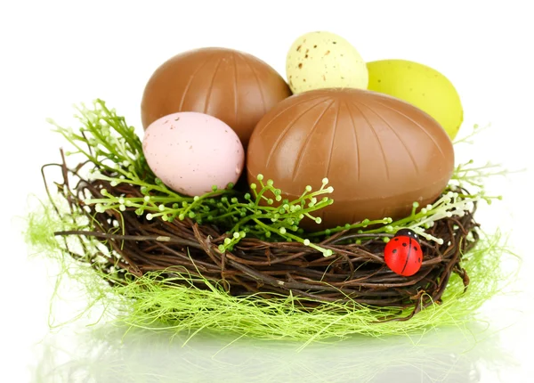 Composition of Easter and chocolate eggs in nest isolated on white — Stock Photo, Image