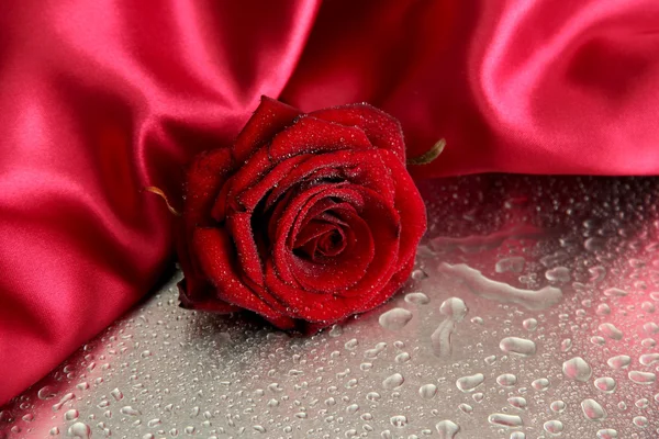 Beautiful red rose and silk fabric on wet grey background — Stock Photo, Image