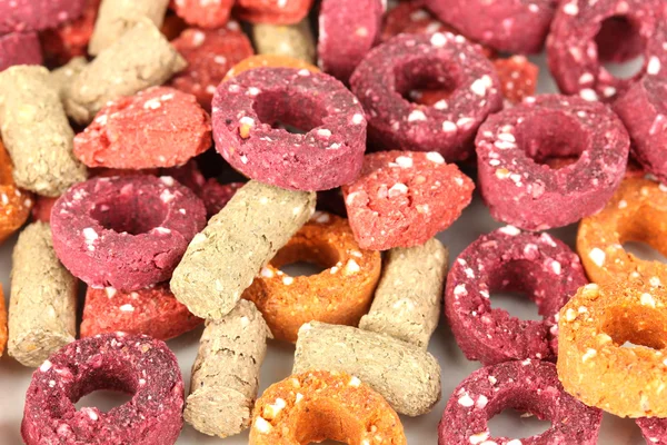 Dry dog treats close up — Stock Photo, Image