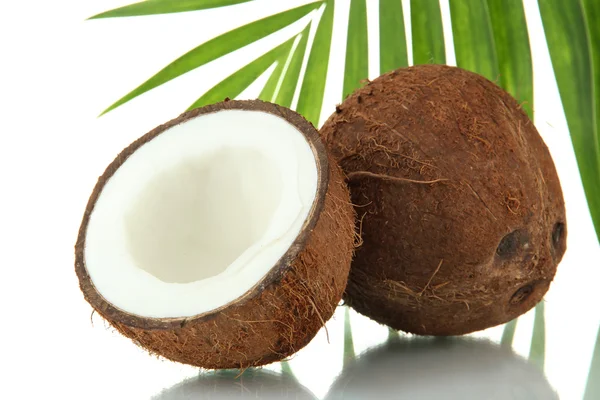 Coconuts with leaves and flower, isolated on white — Stock Photo, Image