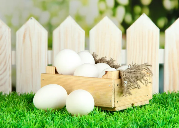 Många ägg i låda på gräs på ljus bakgrund — Stockfoto