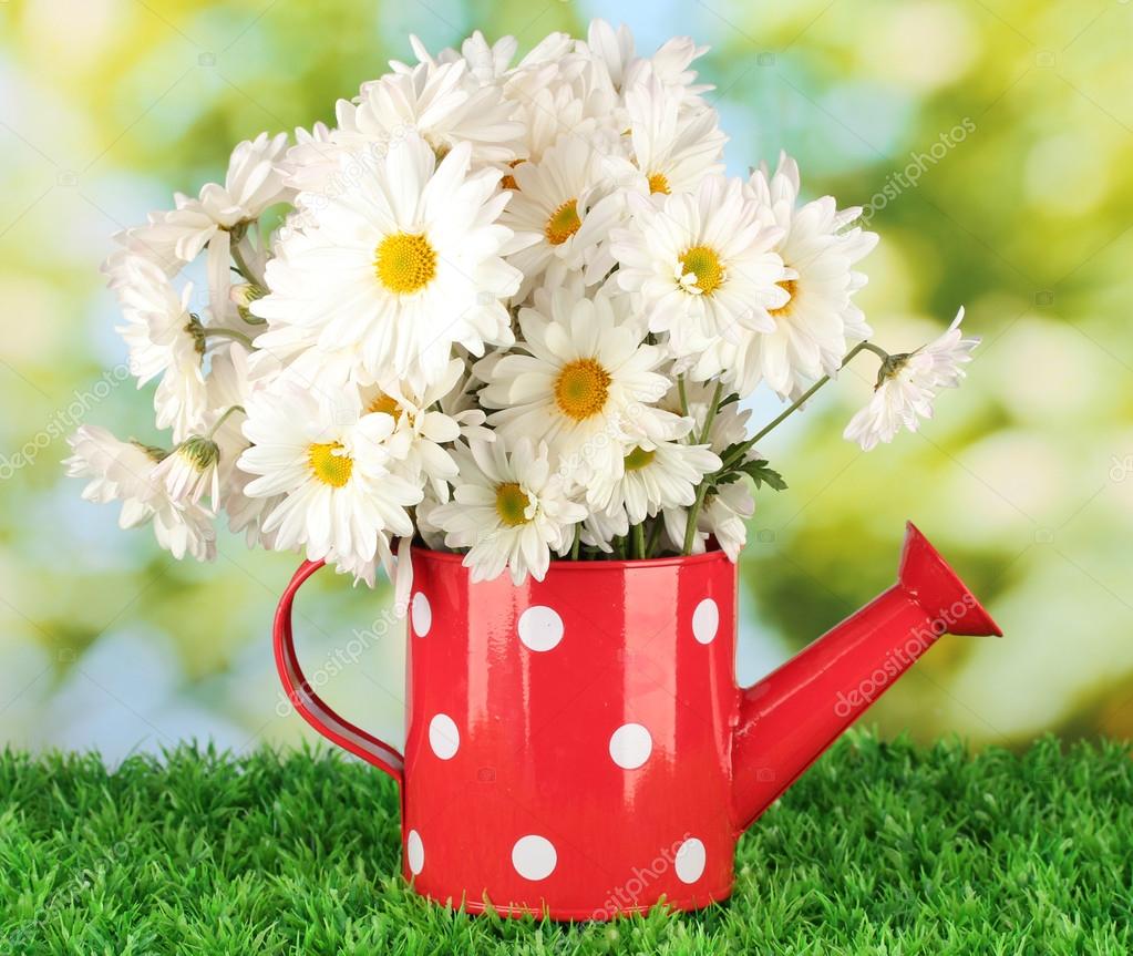 Flowers in vase on grass on bright background Stock Photo by ...