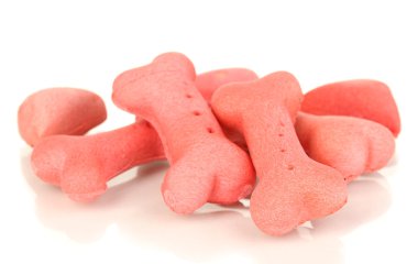 kuru köpek muamelesi şekillerdeki kemikler üzerine beyaz izole