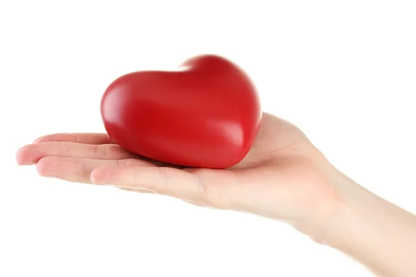 Красное сердце в руке человека, изолированное на белом — стоковое фото