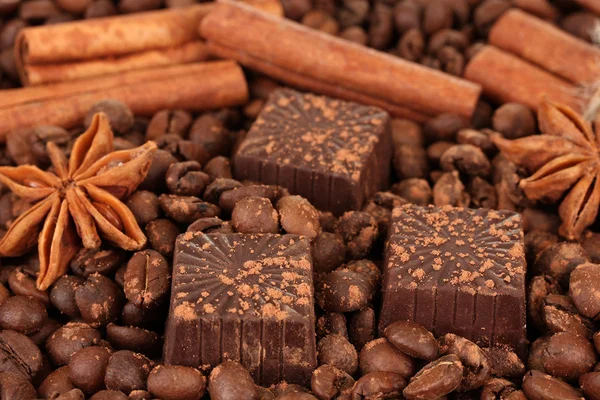 Dolci al cioccolato con cacao, spezie e noci, su sfondo di chicchi di caffè — Foto Stock