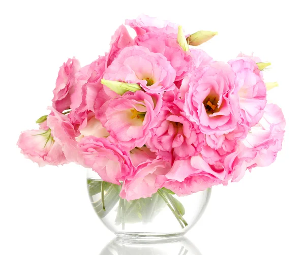 Bouquet of eustoma flowers in vase, isolated on white — Stock Photo, Image