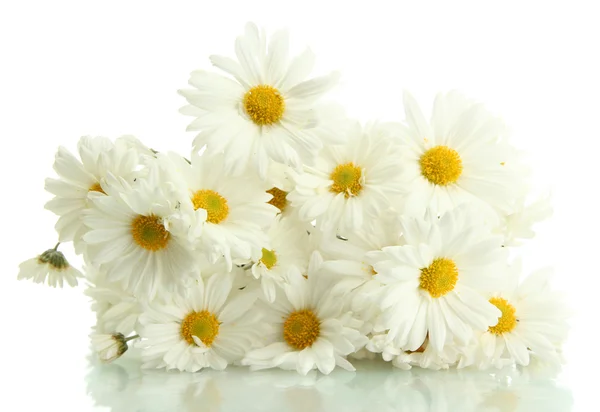 Bouquet of beautiful daisies flowers, isolated on white — Stock Photo, Image