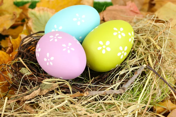 Huevos de Pascua escondidos en nido de paja natural —  Fotos de Stock