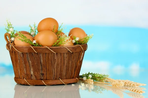 Huevos en cesta sobre fondo azul natural —  Fotos de Stock