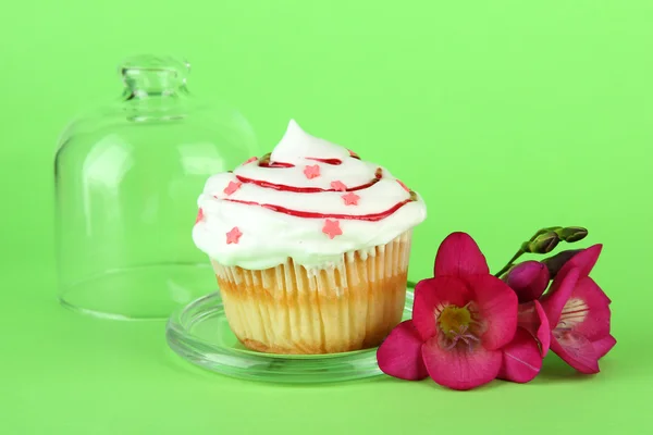 Кекс на блюдце со стеклянной крышкой, на цветном фоне — стоковое фото