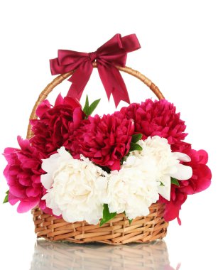 Sepette Beyaz izole yay ile güzel pembe ve beyaz peonies