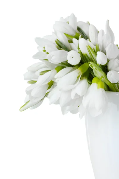 Beautiful bouquet of snowdrops in vase isolated on white — Stock Photo, Image