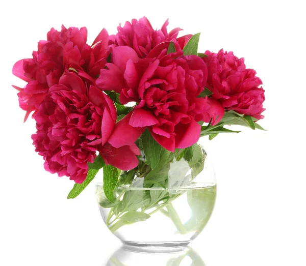 Beautiful pink peonies in glass vase isolated on white — Stock Photo, Image