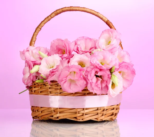 Buquê de flores eustoma em cesta, sobre fundo rosa — Fotografia de Stock