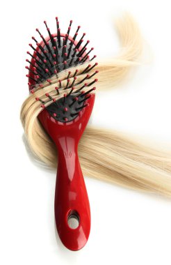 tarak fırça saçlı, beyaz izole