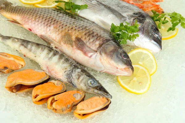 Fresh seafood on ice — Stock Photo, Image