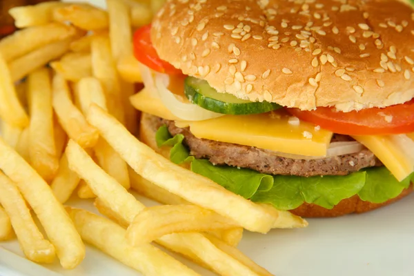 lezzetli patates kızartması, çizburger yakın çekim