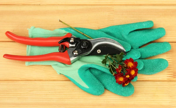 secateurs ahşap zemin çiçek