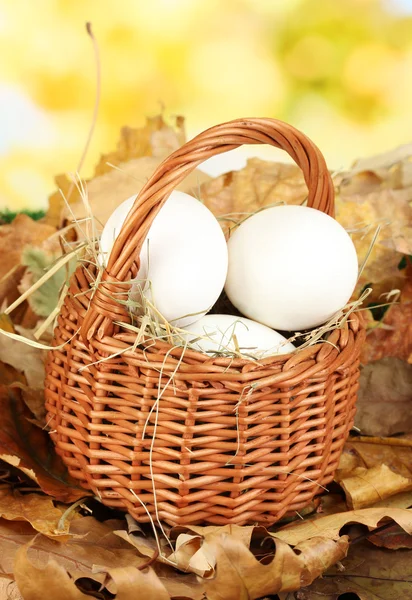 Huevos de Pascua en canasta de mimbre escondidos en hojas —  Fotos de Stock