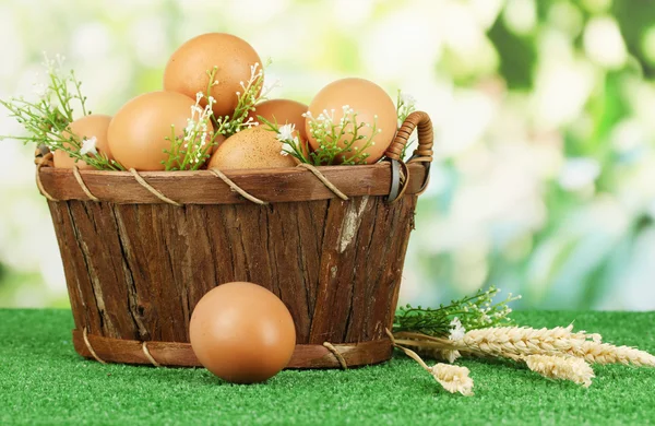 Œufs dans le panier sur l'herbe sur fond naturel — Photo