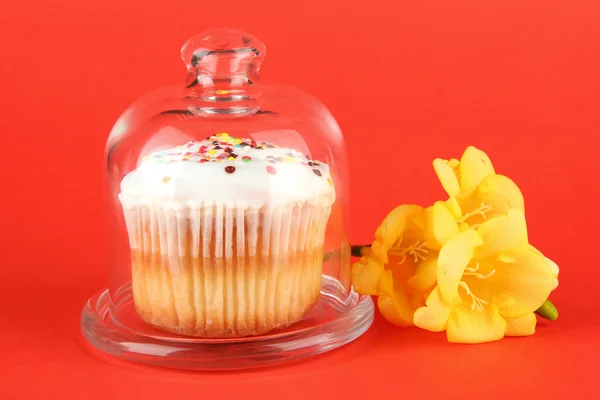 Cupcake em pires com tampa de vidro, em fundo de cor — Fotografia de Stock