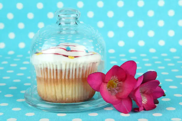 Cupcake på tefat med glaskupa, på färgbakgrund — Stockfoto