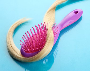 tarak fırça saçlı, mavi zemin üzerine