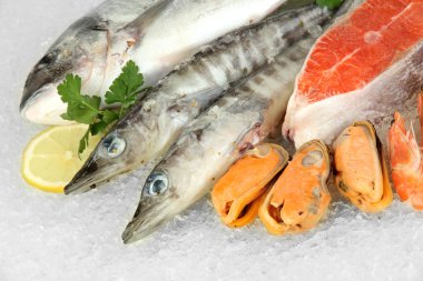 buz üstünde taze deniz ürünleri