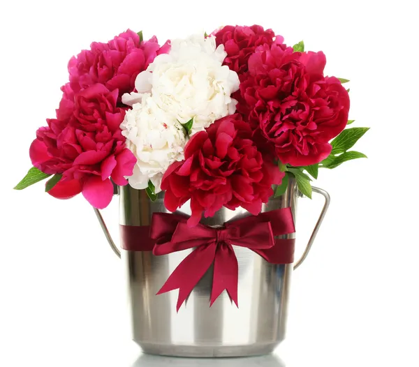 Beautiful pink and white peonies in bucket with bow isolated on white — Stock Photo, Image