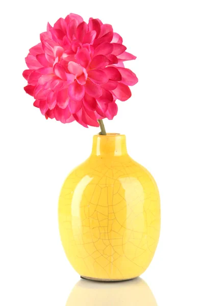 Dekorative Keramikvase mit rosa Blume isoliert auf weiß — Stockfoto