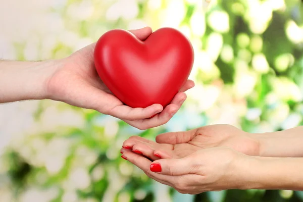 Red heart in woman and man hands, on green background — Stock Photo, Image