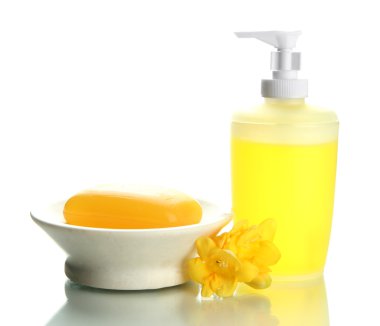 şişe ve Sabunluk ile üzerine beyaz izole sabun