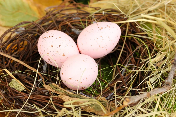 Easter eggs hidden in natural straw nest — Stock Photo, Image