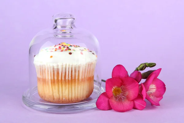 Cupcake on saucer with glass cover, on color background — Stock Photo, Image