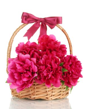 Sepette Beyaz izole yay ile güzel pembe peonies