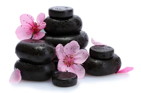 Wellness-Steine mit Tropfen und rosa Sakura-Blüten isoliert auf weiß — Stockfoto