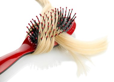 tarak fırça saçlı, beyaz izole