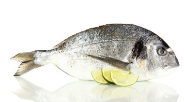 Dorado balığı üzerinde beyaz izole limon