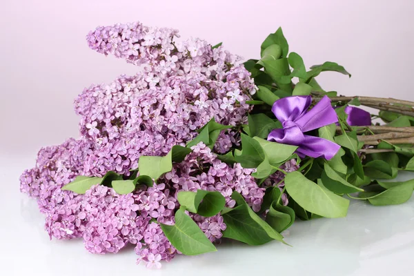 Krásné květy na fialovém pozadí — Stock fotografie
