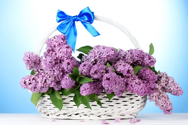 Όμορφη ιώδη λουλούδια στο καλάθι σε γαλάζιο φόντο — Φωτογραφία Αρχείου