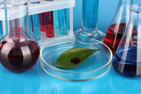 Test-tubes and green leaf tested in petri dish, on color background — Stock Photo, Image