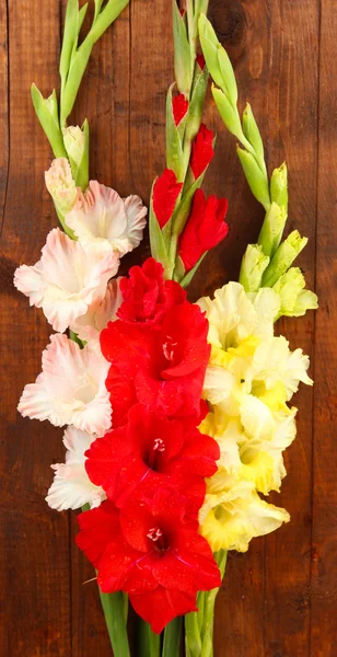Prachtige kleurrijke gladiolen op houten achtergrond close-up — Stockfoto